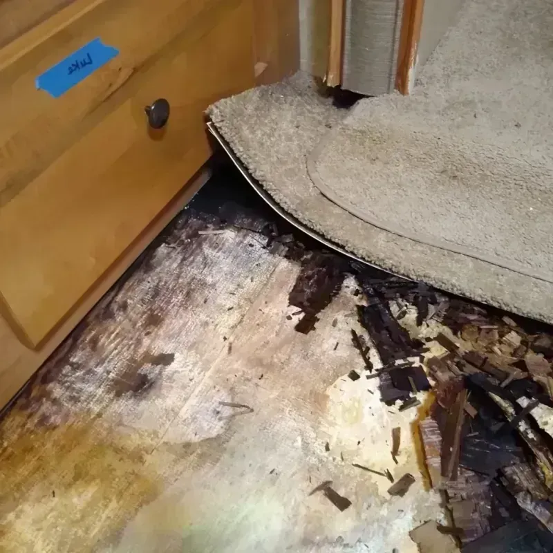 Wood Floor Water Damage in Laurel, MD